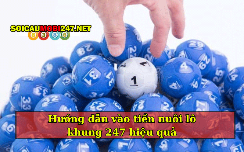 Nuôi lô khung 1 2 3 5 7 ngày