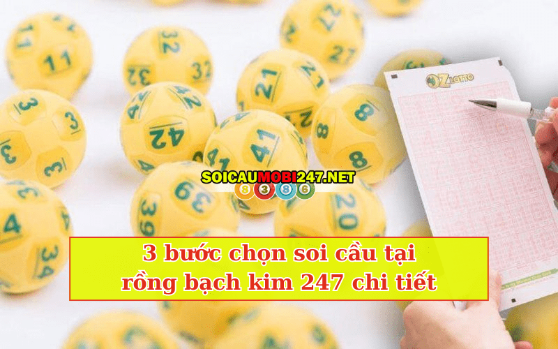 các bước chọn soi cầu tại rồng bạch kim 247