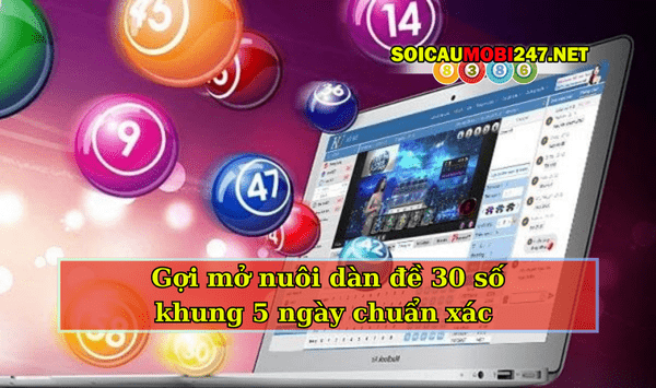 nuôi dàn đề 30 số khung 5 ngày chuẩn xác 