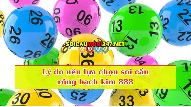 ly do soi cầu rồng bạch kim 888