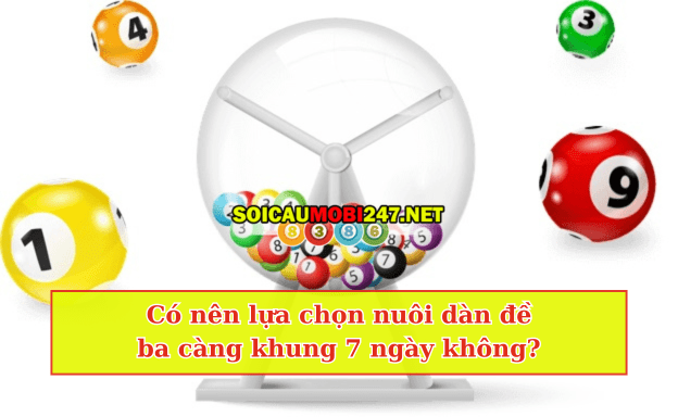 Có nên nuôi 3 càng khung 7 ngày không