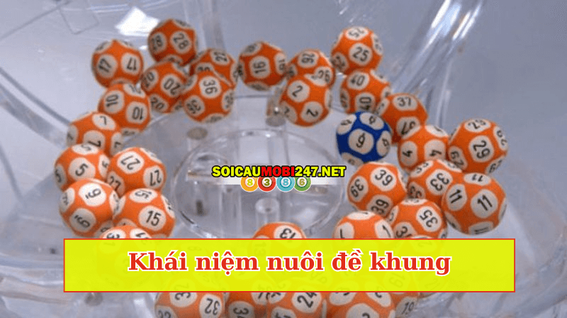 Nuôi đề khung 1, 2, 3, 5, 7 ngày 