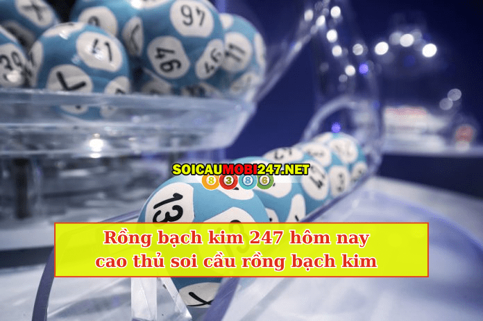 Rồng bạch kim 247 hôm nay