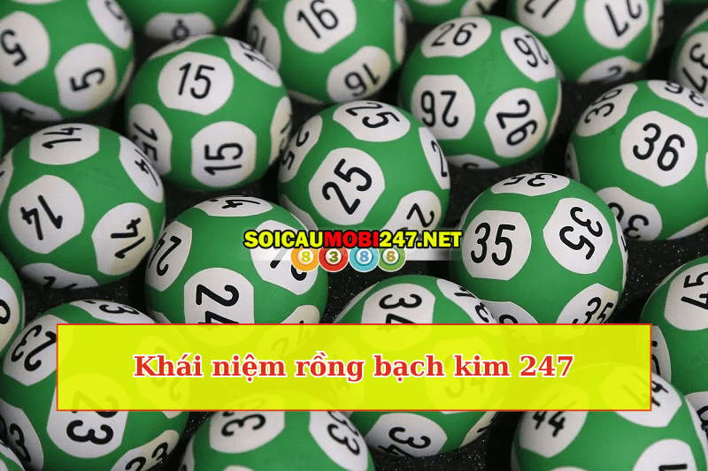 Rồng Bạch Kim 247 hôm nay