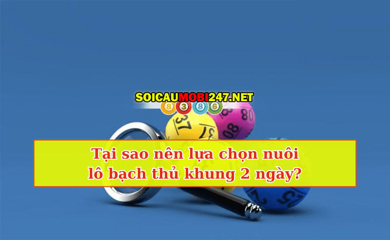 soi cầu bạch thủ lô khung 2 ngày