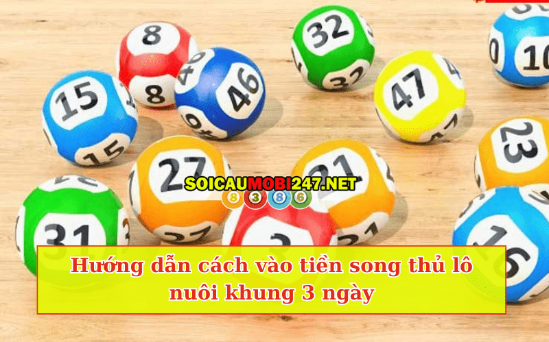 Hướng dẫn vào tiền nuôi song thủ khung 3 ngày