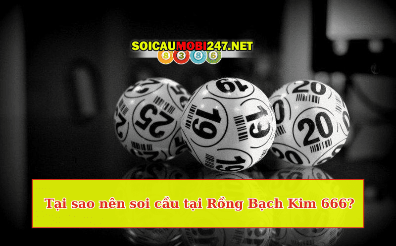 Tại sao nên soi cầu tại Rồng Bạch Kim 666