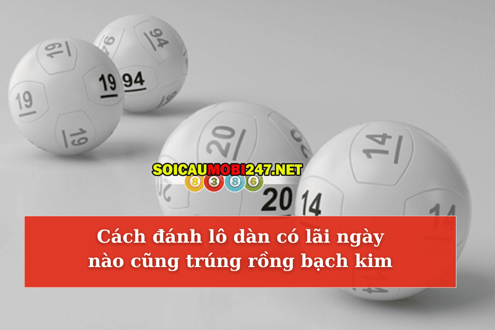 Cách đánh lô dàn có lãi ngày nào cũng trúng rồng bạch kim