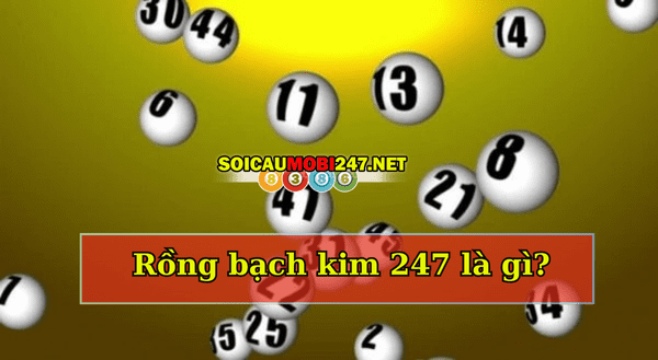 Rồng bạch kim là gì?